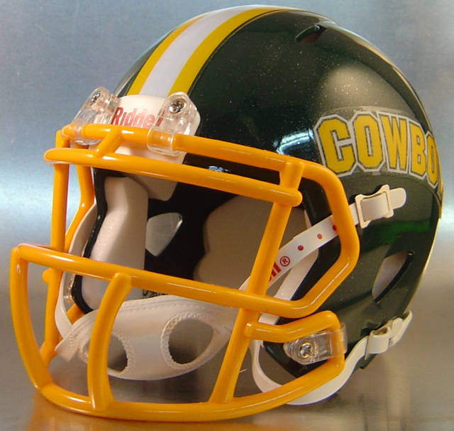 California High School Mini Football Helmets