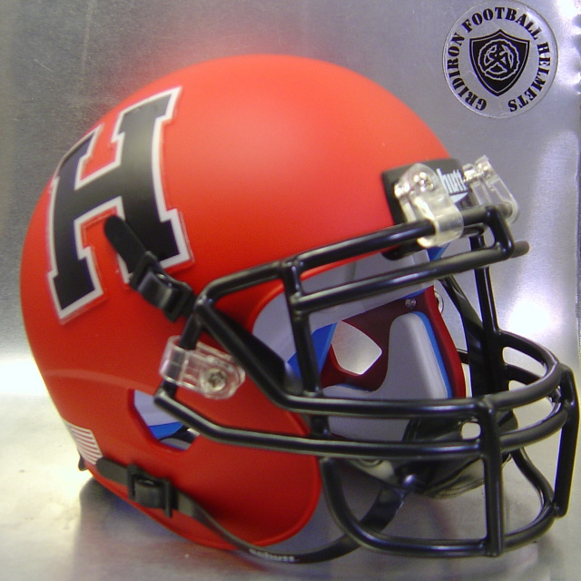 ivy league mini helmets