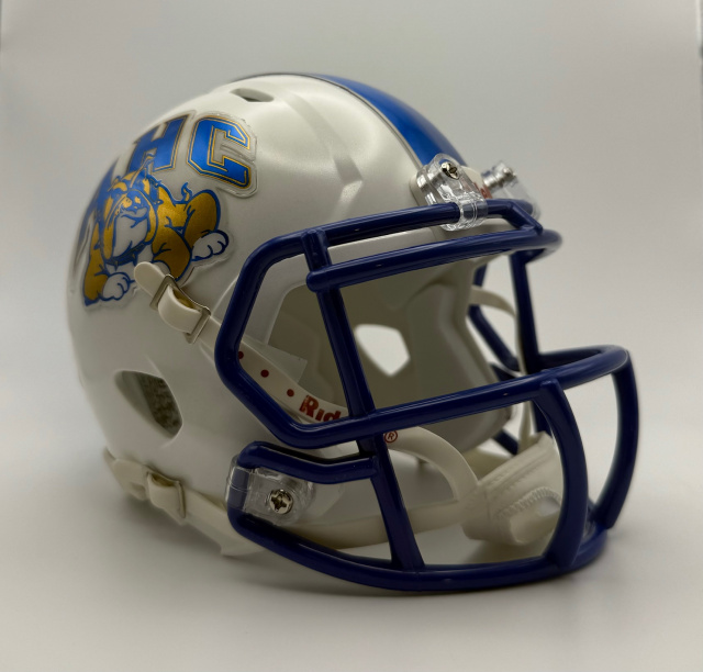 academy football helmets riddel Lakewood (2002) level protection where it matters most Used Medium Riddell SpeedFlex Helmet