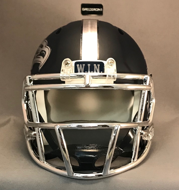 Custom Georgia Southern Eagles Speed Mini Helmet