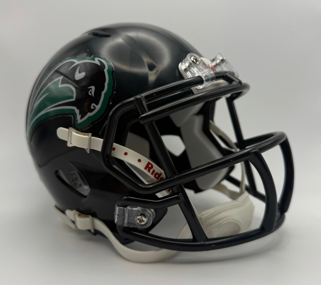 Nichols College Bison 2018-2019 Riddell Speed Nichols College Bison 2018-2019 Riddell Speed