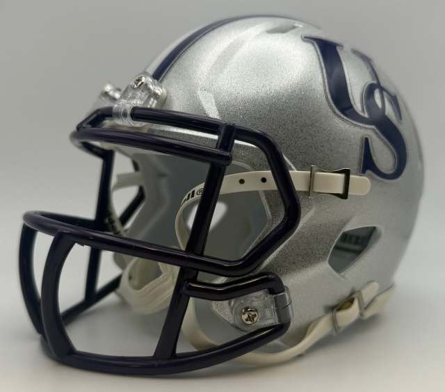 Sewanee Tigers The University of the South 1999-2000 Riddell Speed Sewanee Tigers The University of the South 1999-2000 Riddell Speed