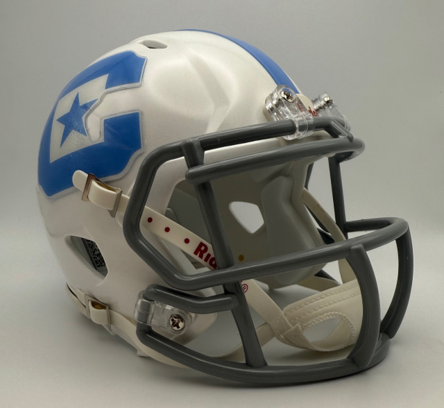 custom fantasy football helmets CUSTOM MINI HELMETS  Fantasy Football Unlimited