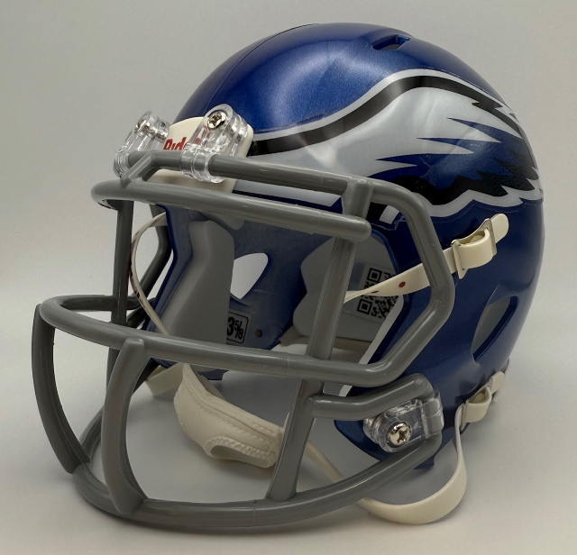 Georgia High School mini football helmets Georgia High School mini football helmets
