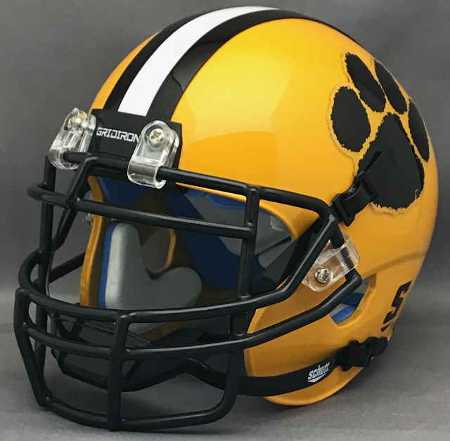 Valdosta Wildcats 2016 Georgia High School Football MINI Helmet 