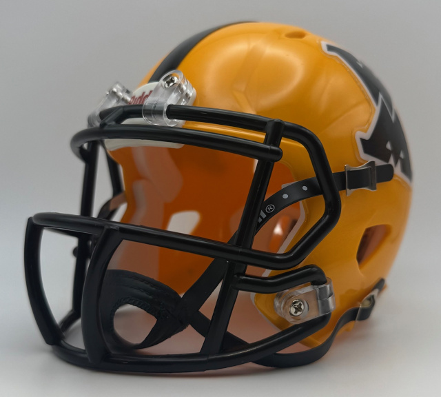 2015 riddell football helmets Elida (2015) The Speed mini helmet is worn by most of the star players who choose to wear this helmet Riddell | Diamond