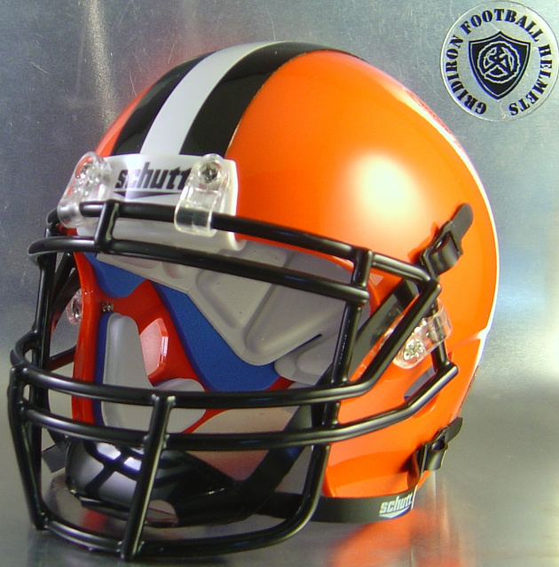 Cleveland Browns WHITE Football Helmet Full Size Decal Stripe SPEED Bumpers