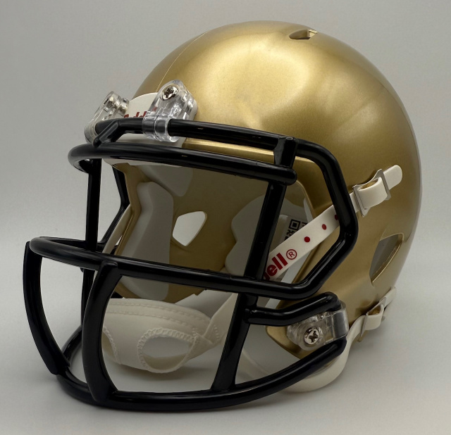 Pendleton Bulldogs HS (SC) 2017 Riddell Speed Pendleton Bulldogs HS (SC) 2017 Riddell Speed