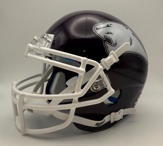 American Football Schutt Mini Football Helmets Texas High School Mini Football Helmets American Football Schutt Mini Football Helmets Texas High School Mini Football Helmets